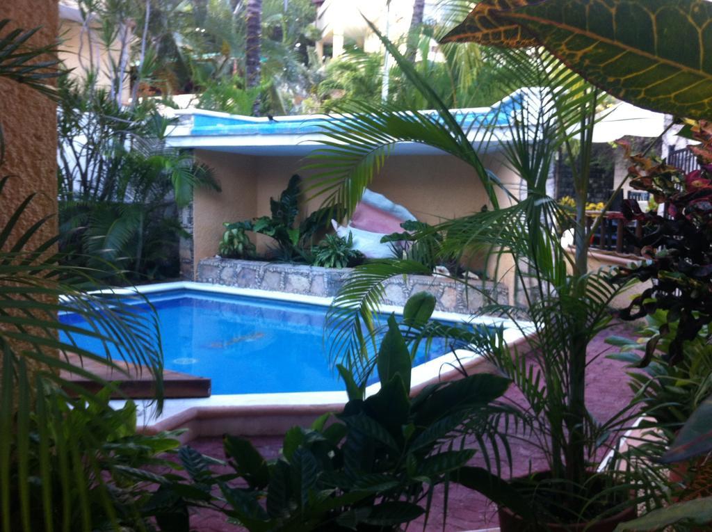 Vista Caribe Diving Resort 普拉亚卡门 外观 照片